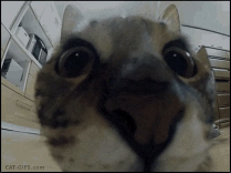 User banner