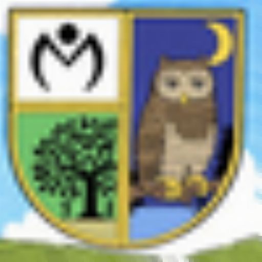 User icon