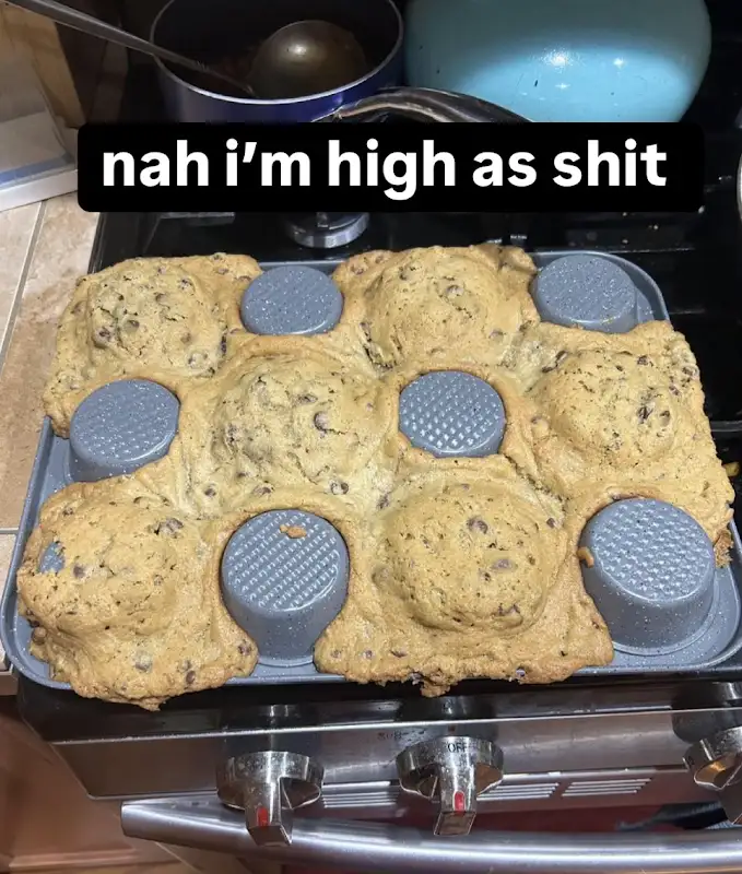 User submitted image