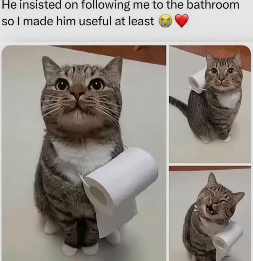 User submitted image