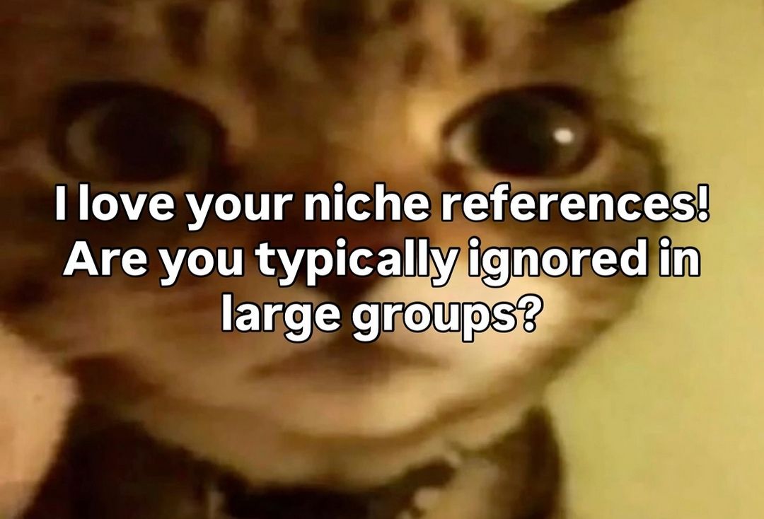 User submitted image