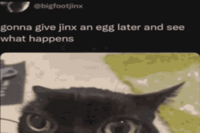 User submitted image
