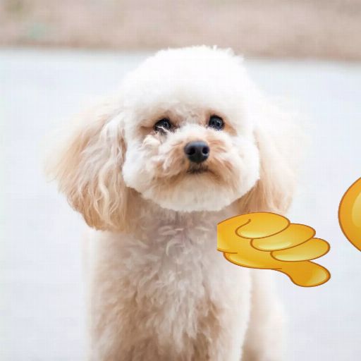User icon