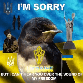 User submitted image