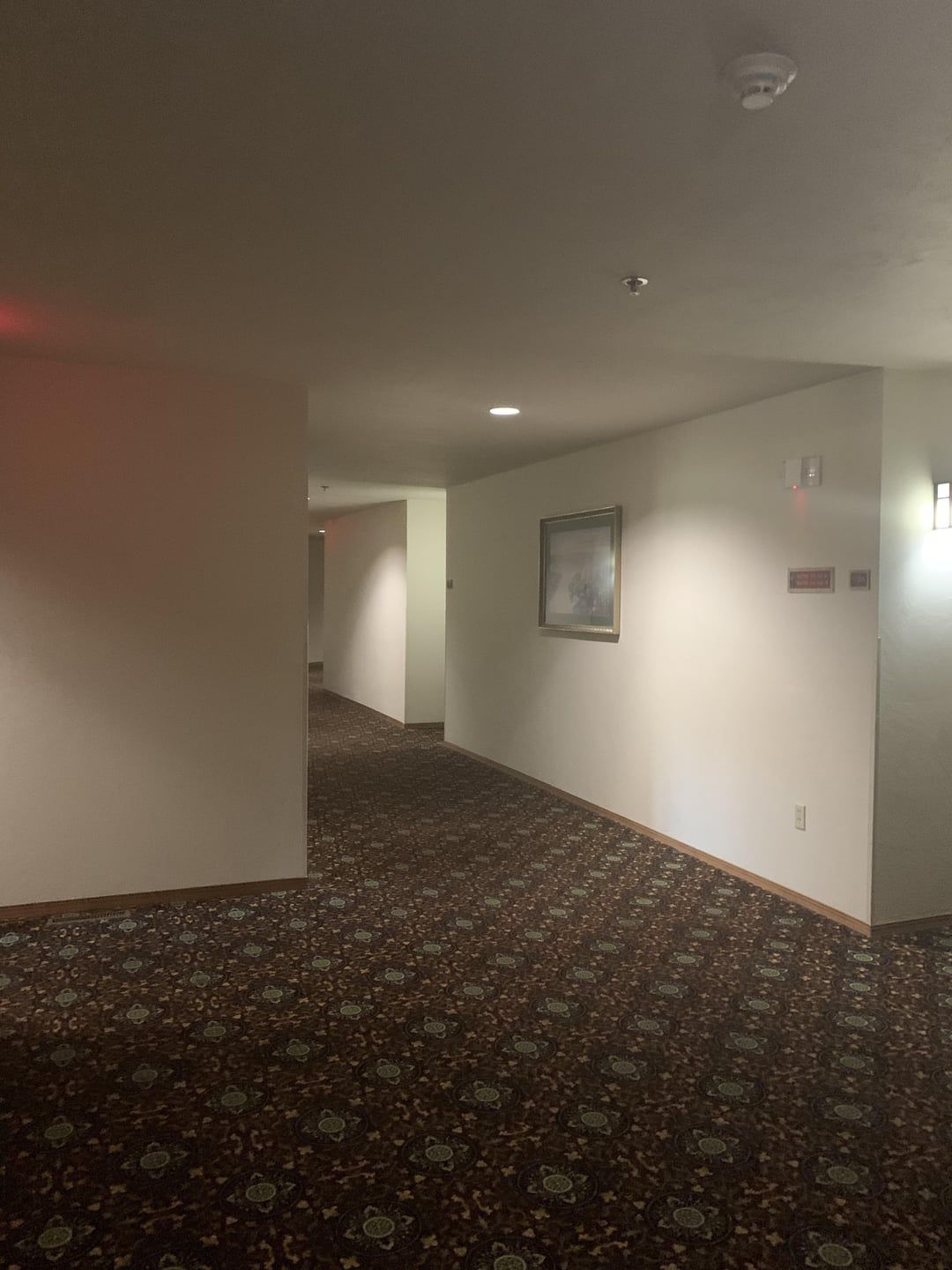 User submitted image