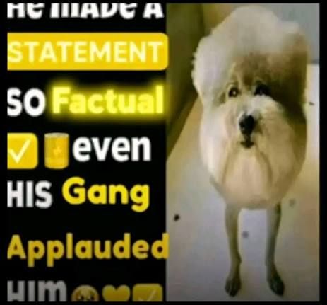 User submitted image