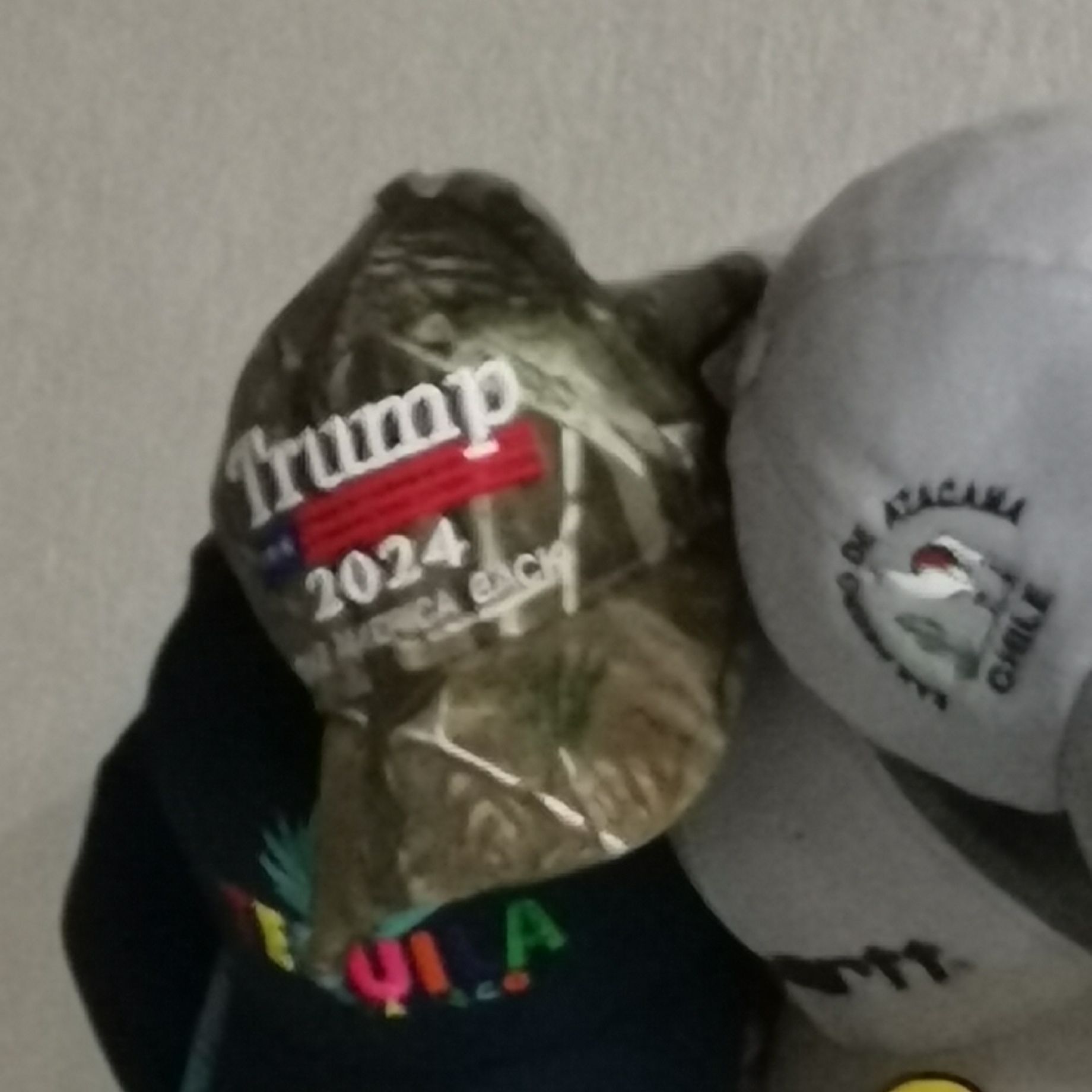 User submitted image