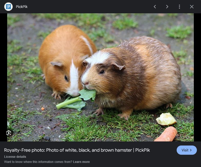 User submitted image