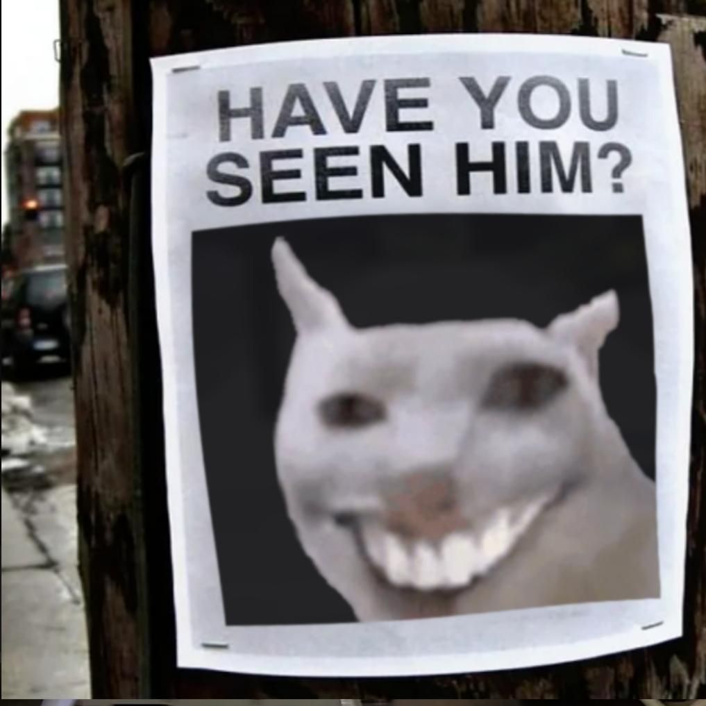User submitted image