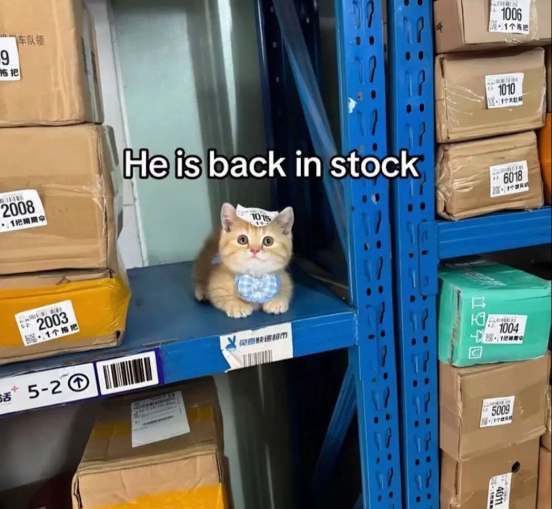 User submitted image
