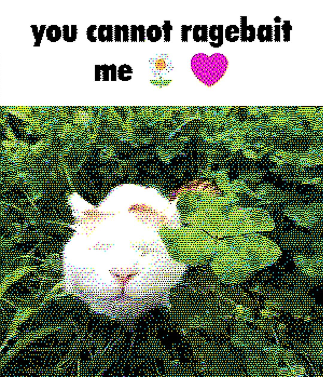 User submitted image
