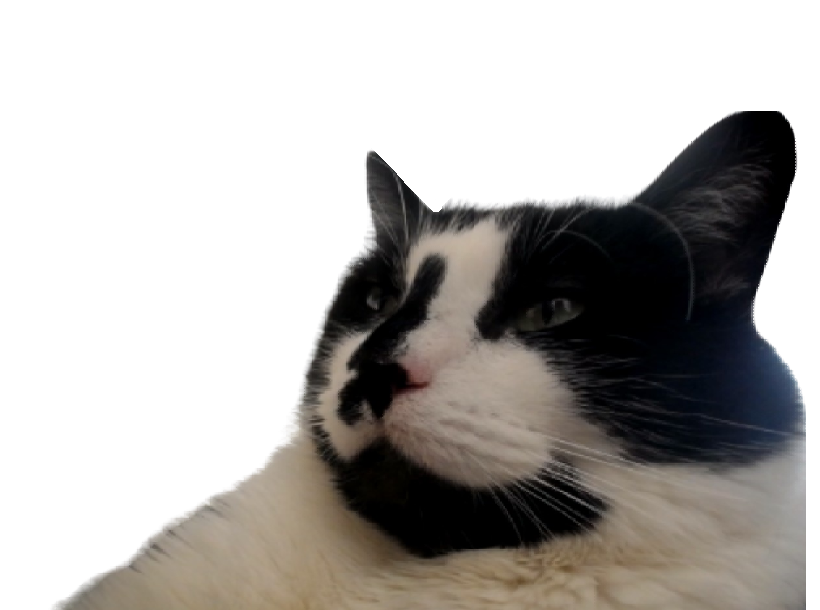 User banner