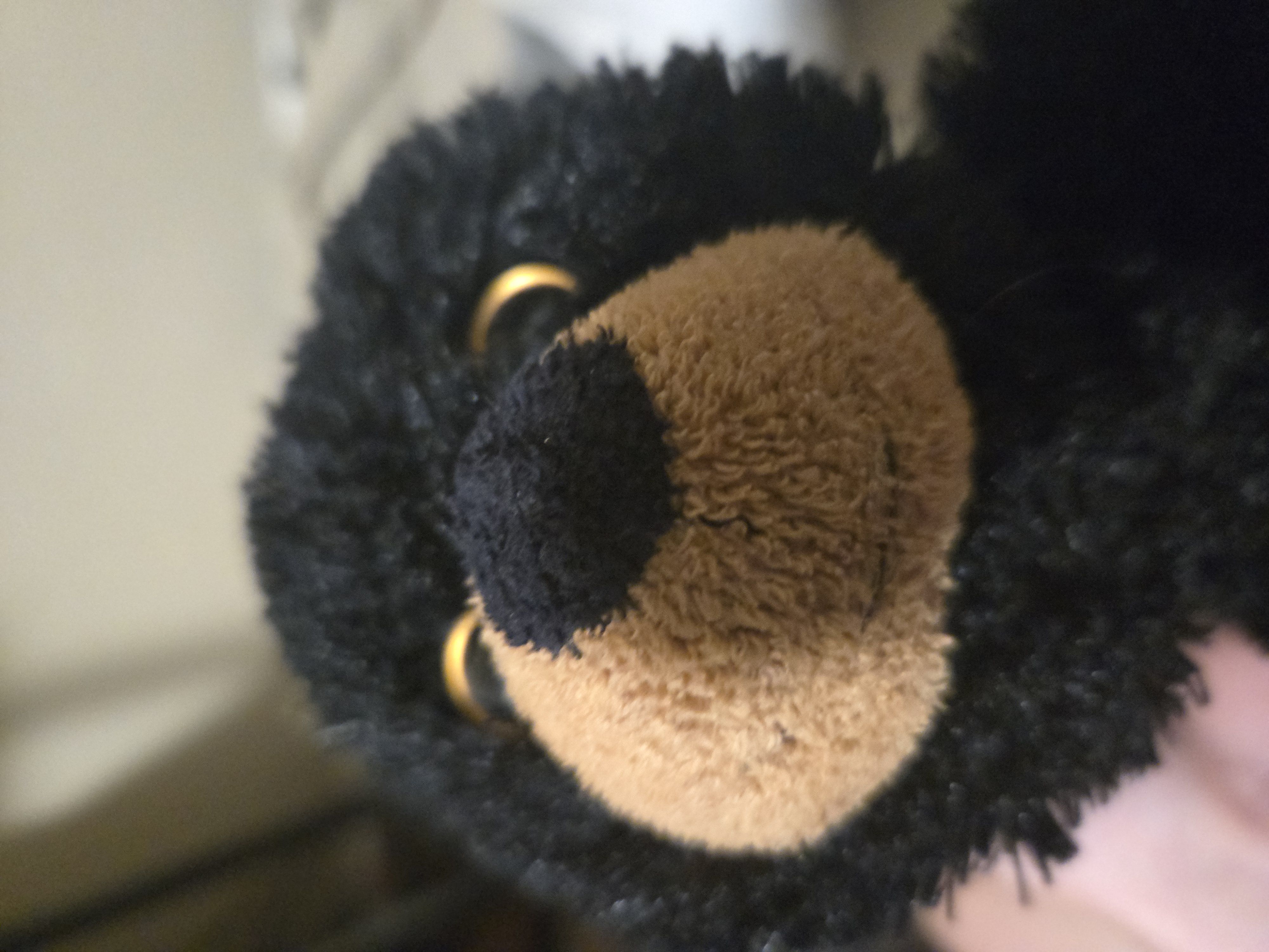 User banner