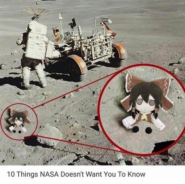 User submitted image