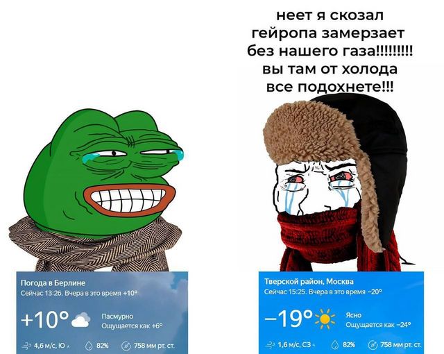 User submitted image