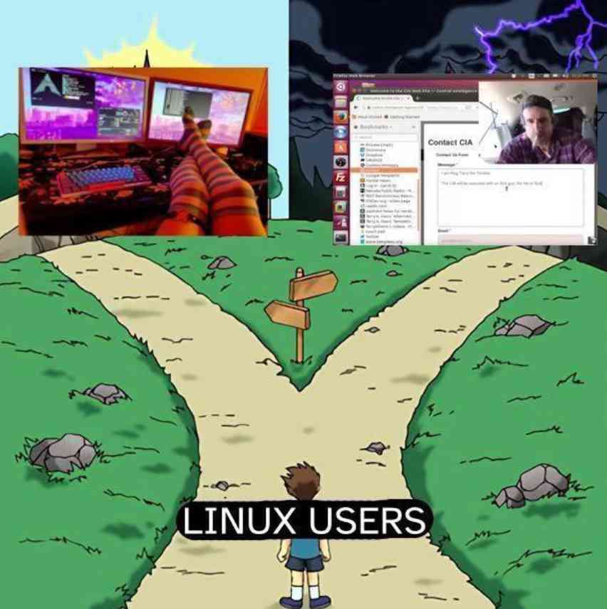 User submitted image