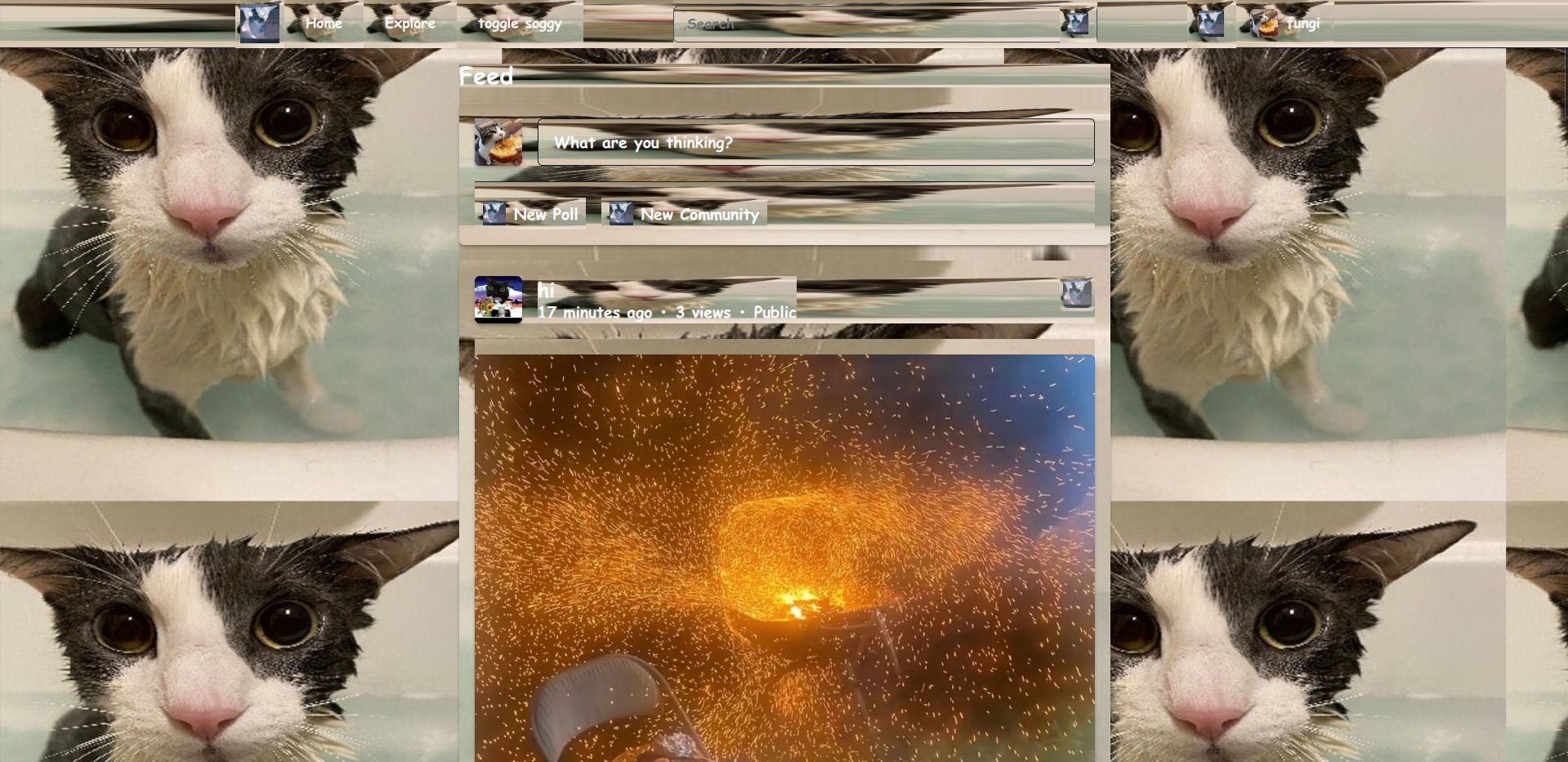 User submitted image