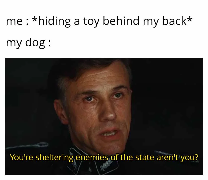 User submitted image
