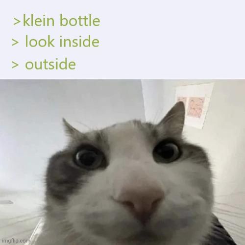 User submitted image