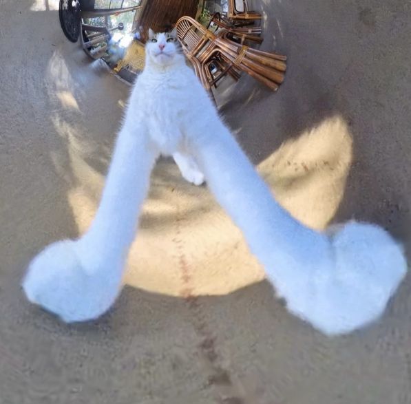 User submitted image