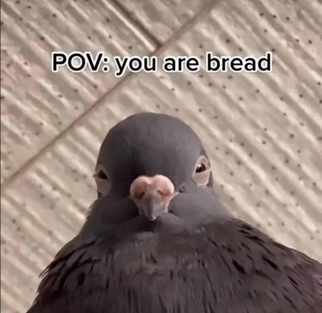 User submitted image