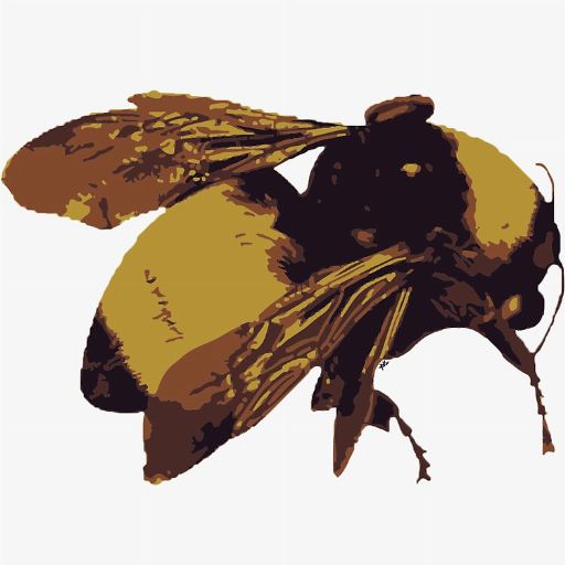 User icon