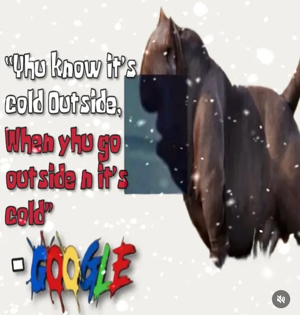 User submitted image