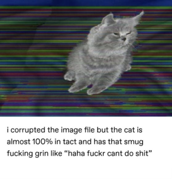 User submitted image