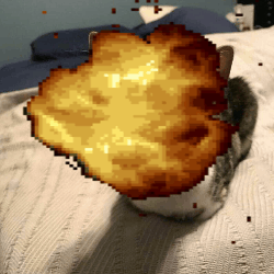 User submitted image