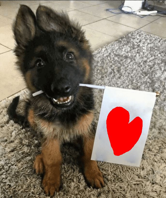 User submitted image