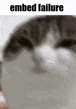 User submitted image