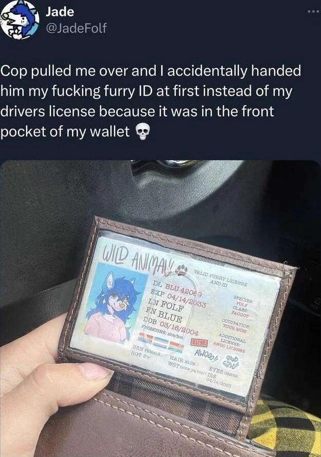 User submitted image