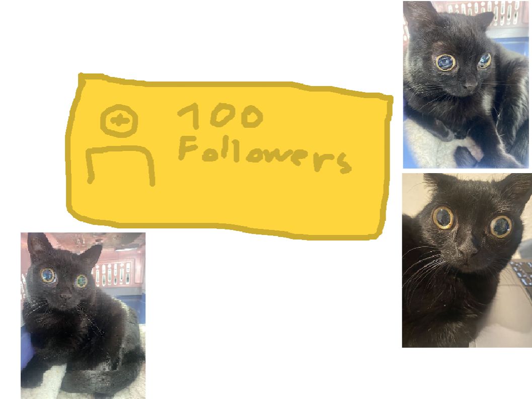 User submitted image