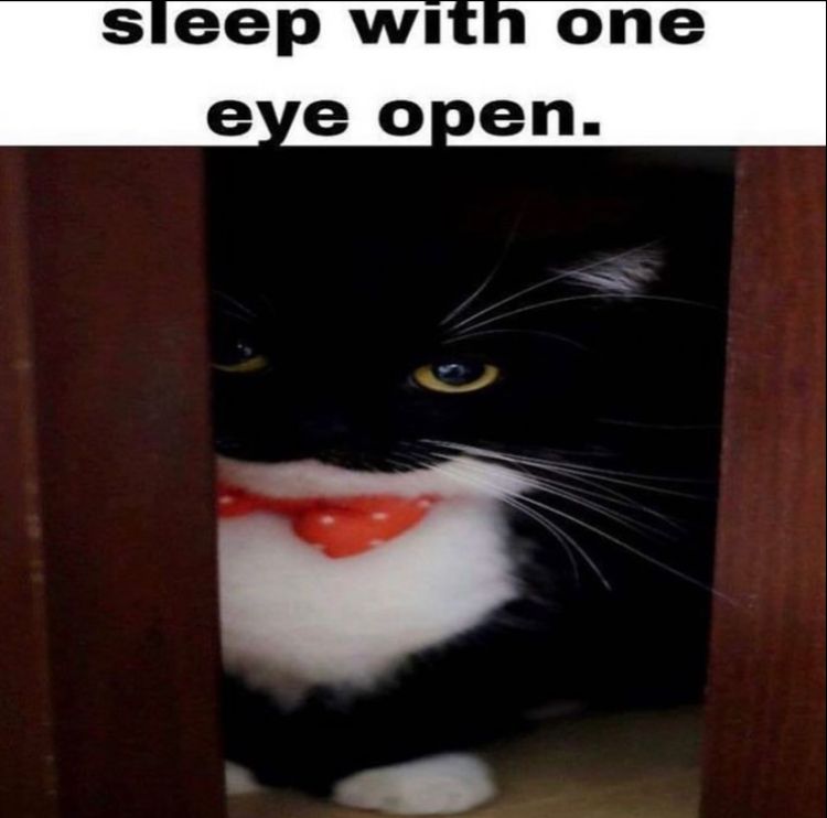 User submitted image
