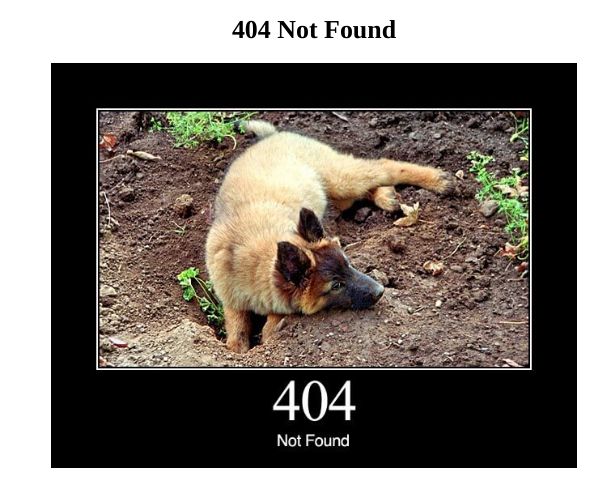 User submitted image
