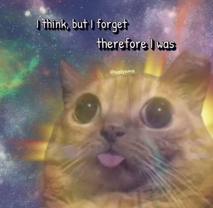User submitted image