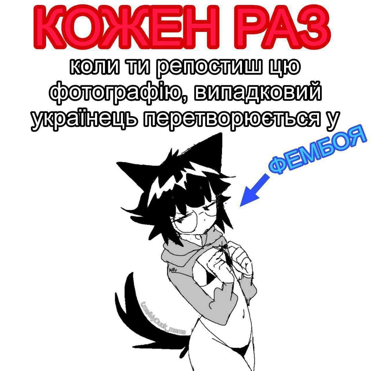 User submitted image