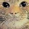 User submitted image