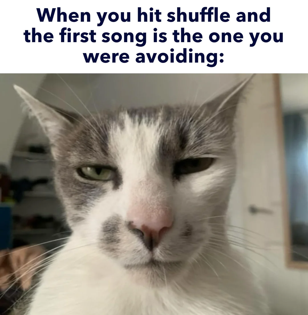 User submitted image