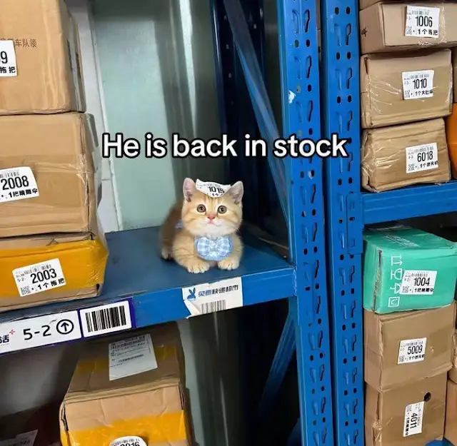 User submitted image