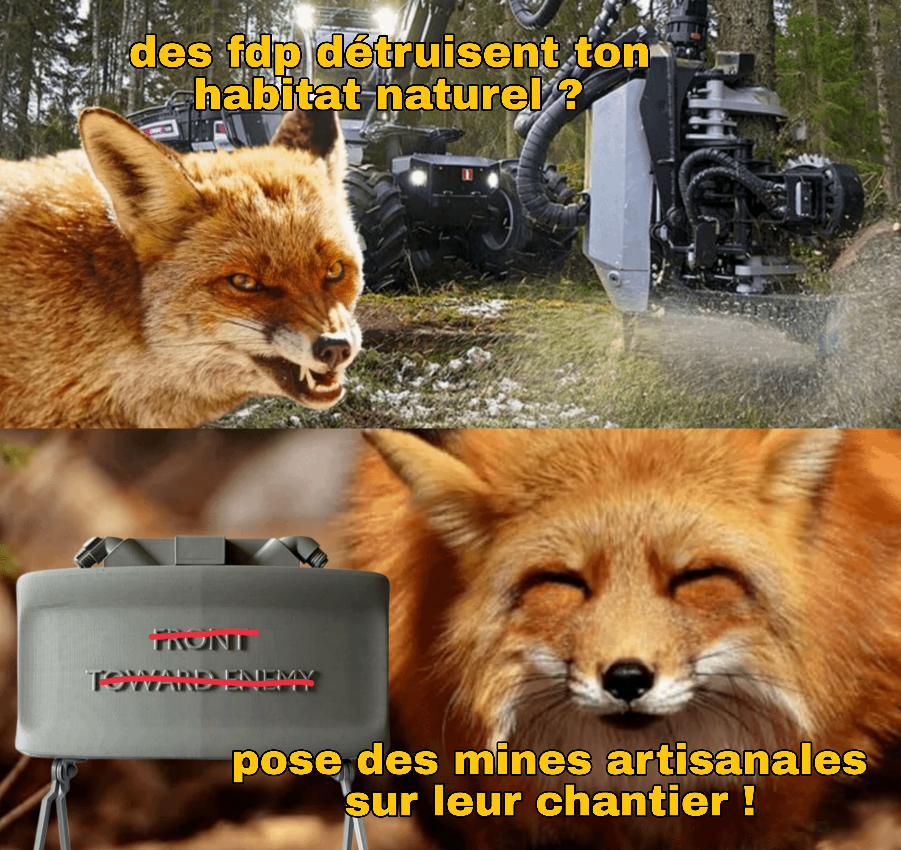 User submitted image
