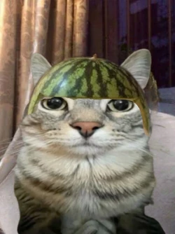 User submitted image