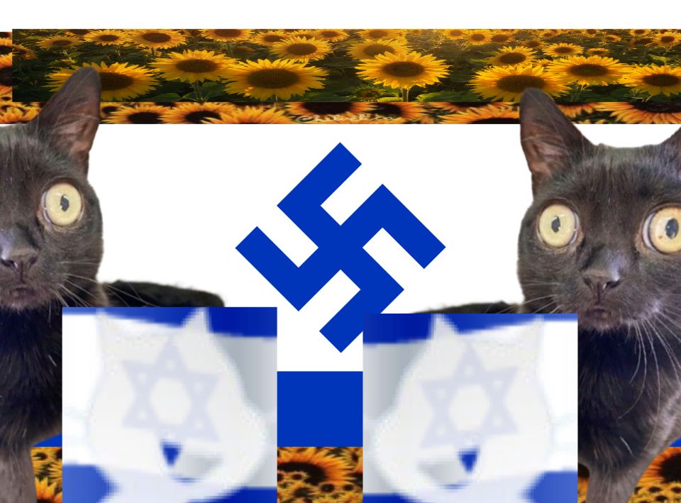 User submitted image