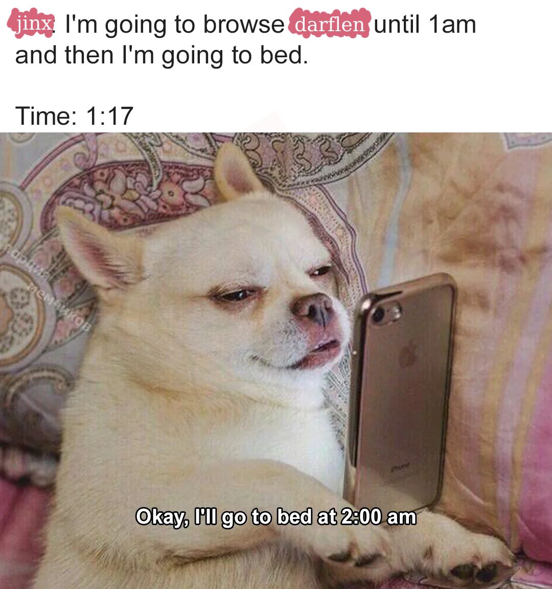User submitted image