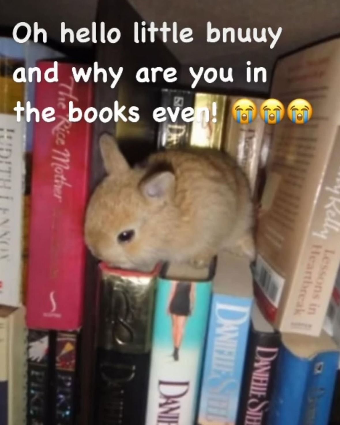 User submitted image