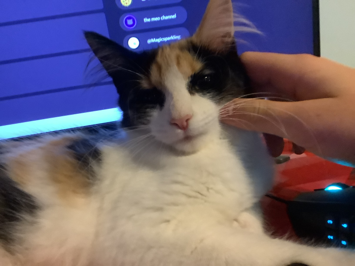 User banner