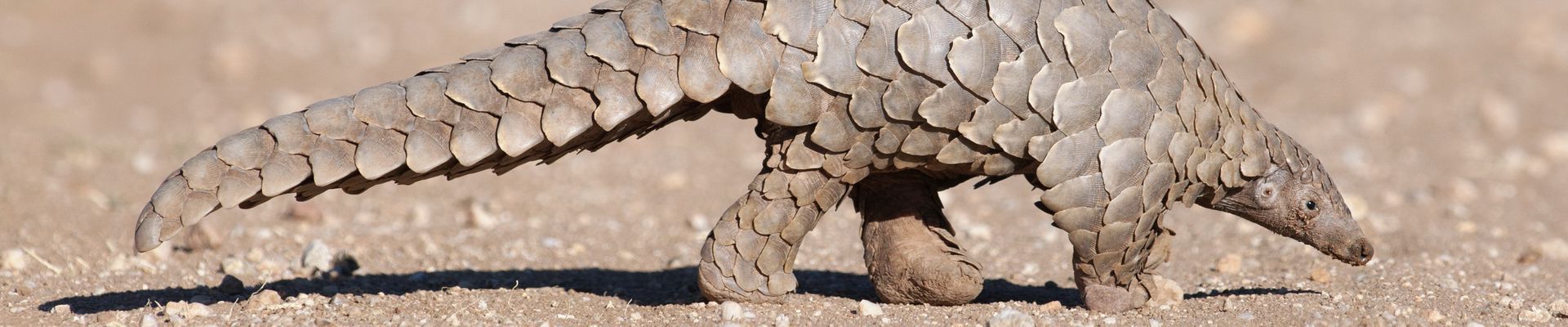 User submitted image