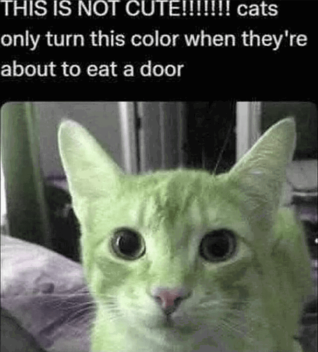User submitted image