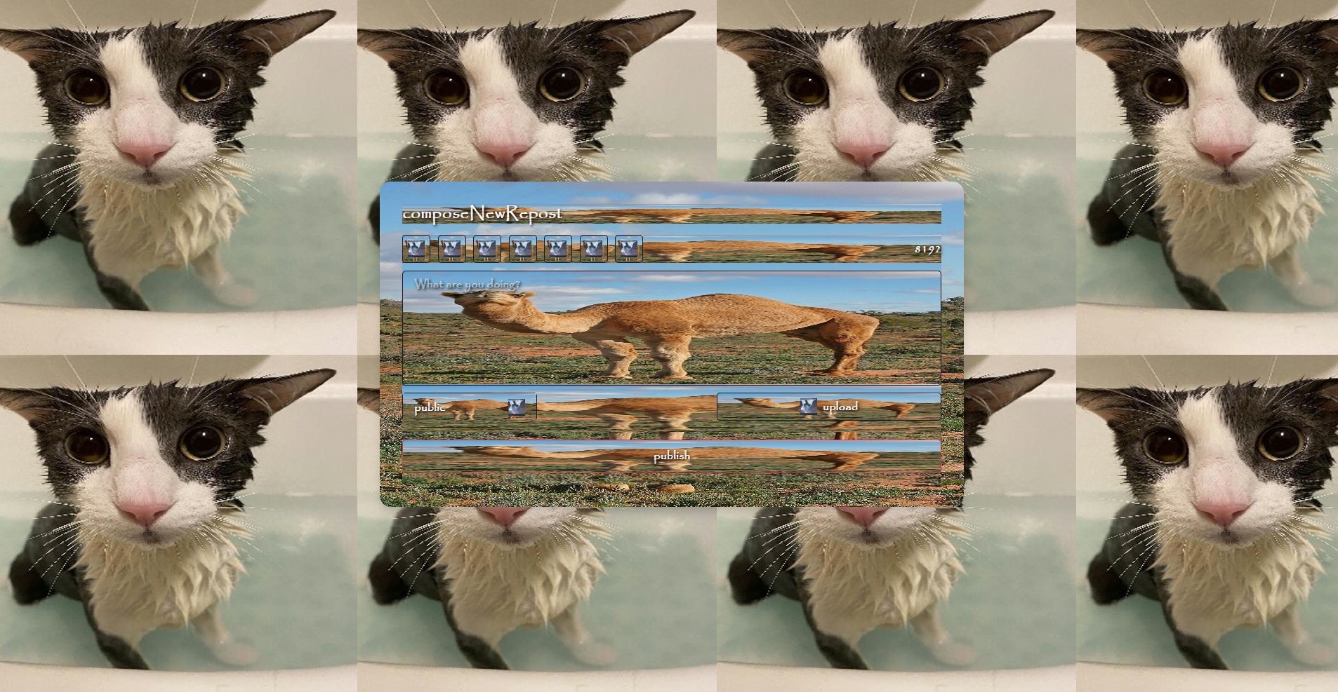 User submitted image