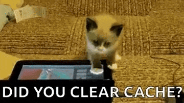 User submitted image